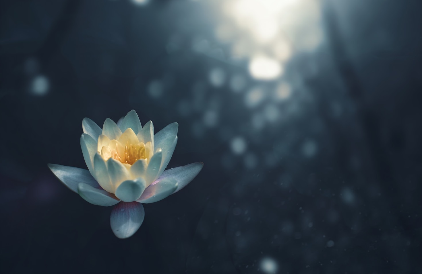 Meditatierecepten die je moet proberen