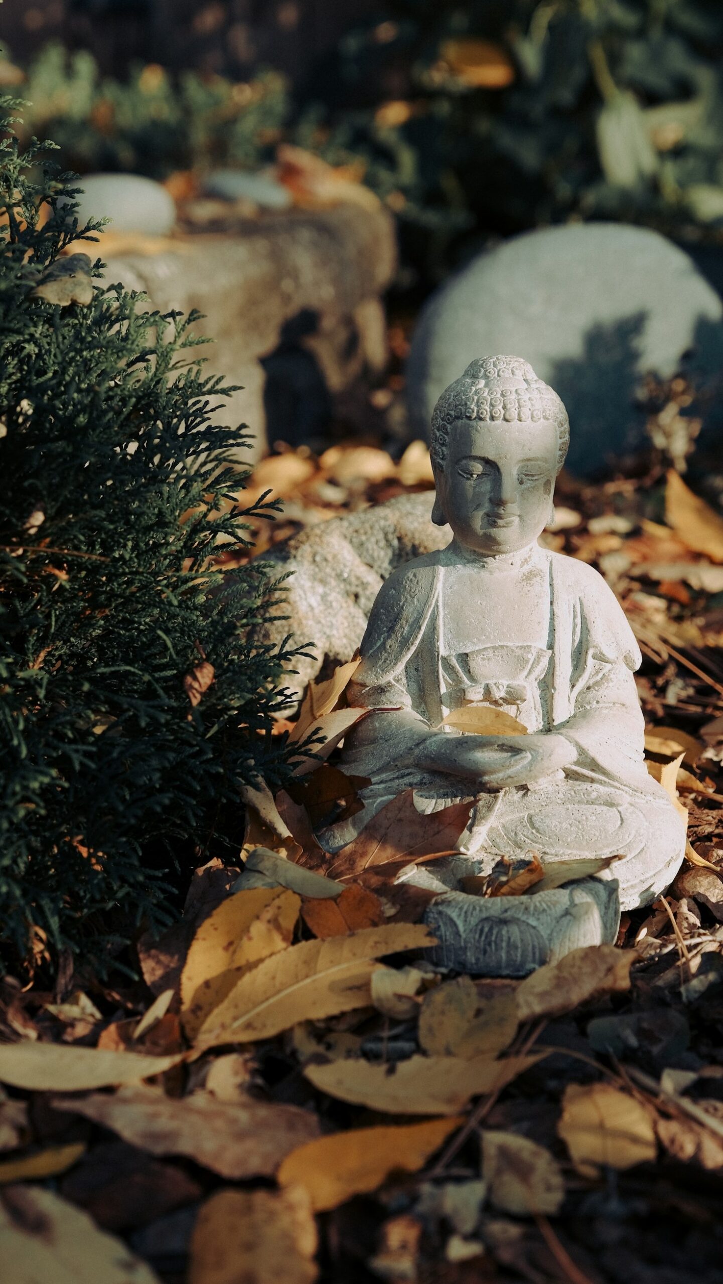 De kracht van ademhaling bij mindfulness